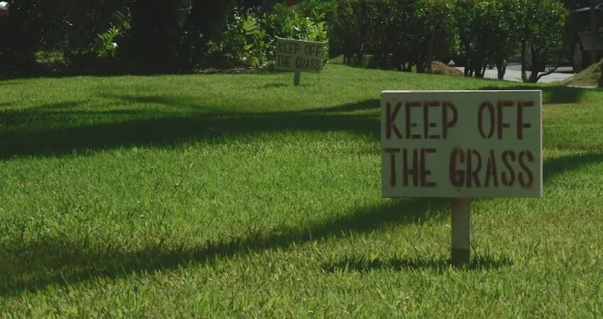 keep off the grass